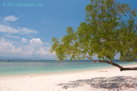 beach of Mamutik Island