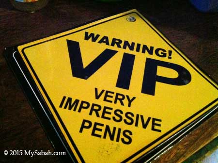 VIP meaning