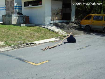 block the parking with tree branch