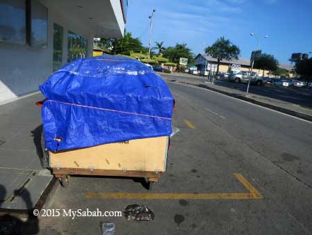 cart in parking space