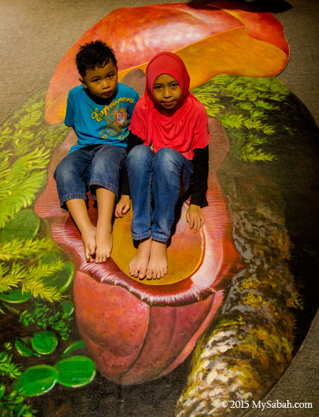 children in 3D floor painting of Nepenthes Rajah pitcher plant