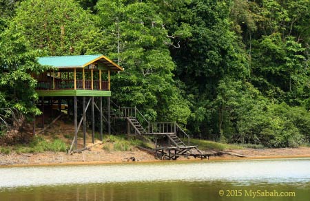 Tanjung Bulat Jungle Camp