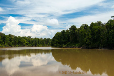 oxbow lake