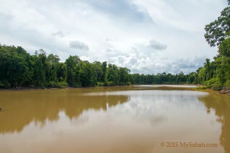 oxbow lake of Tanjung Bulat Jungle Camp