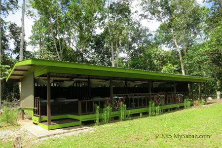 accommodation of Tanjung Bulat Jungle Camp