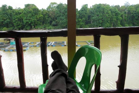 chilling out at Tanjung Bulat Jungle Camp