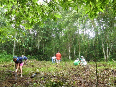 planting trees for Corridor of Life