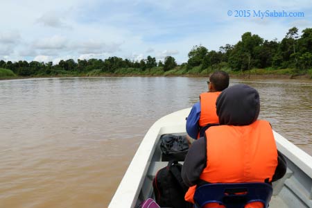 river cruise on Kinabatangan River