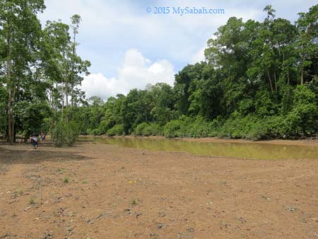 muddy river bank of oxbow lake