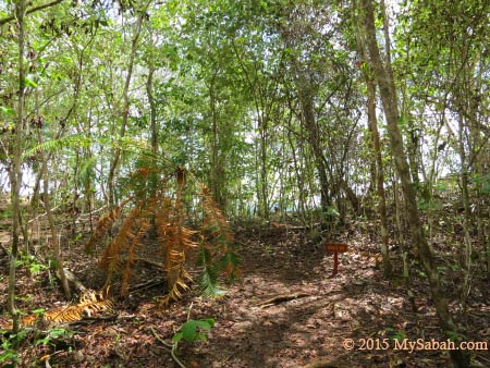 reaching the end of trail