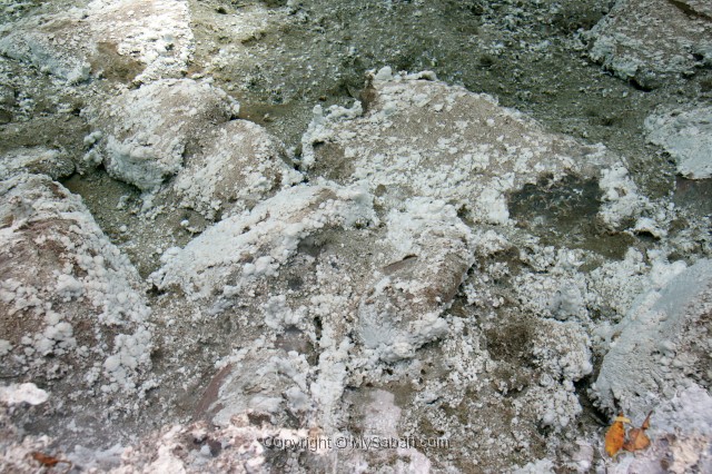 sulphurous-springs-img_7568.jpg