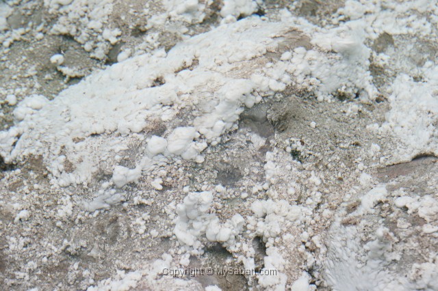 sulphurous-springs-img_7570.jpg