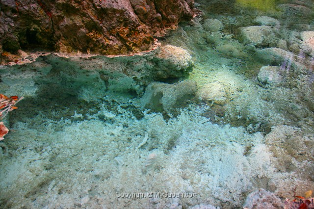 sulphurous-springs-img_7635.jpg