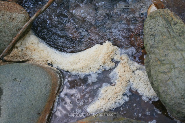 sulphurous-springs-img_7860.jpg