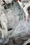 sulphurous-springs-img_7527