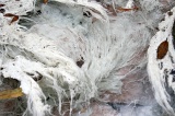 sulphurous-springs-img_7530