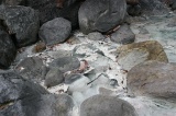 sulphurous-springs-img_7547