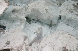 sulphurous-springs-img_7557