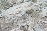 sulphurous-springs-img_7570