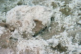 sulphurous-springs-img_7587