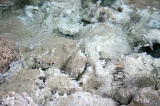 sulphurous-springs-img_7665