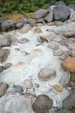 sulphurous-springs-img_7703