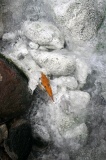 sulphurous-springs-img_7770