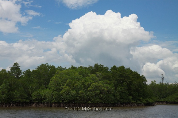 kelly-bays-g_4407.jpg