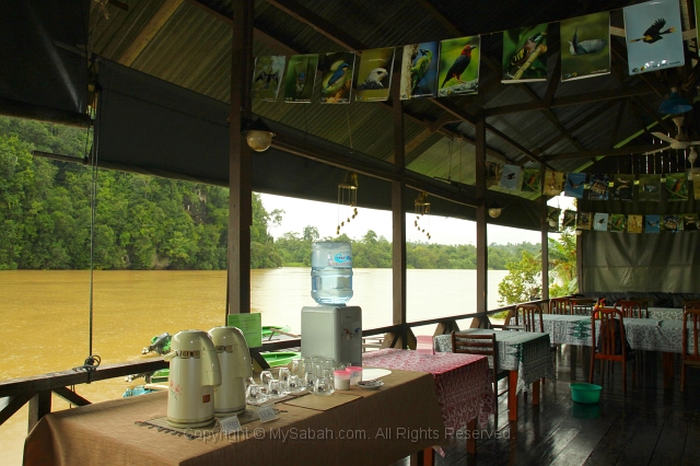 kinabatangan-img_9508.jpg