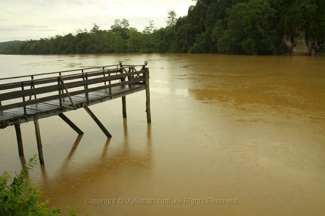 kinabatangan-img_9509.jpg