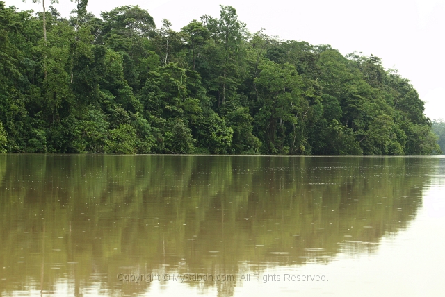 kinabatangan-img_9876.jpg