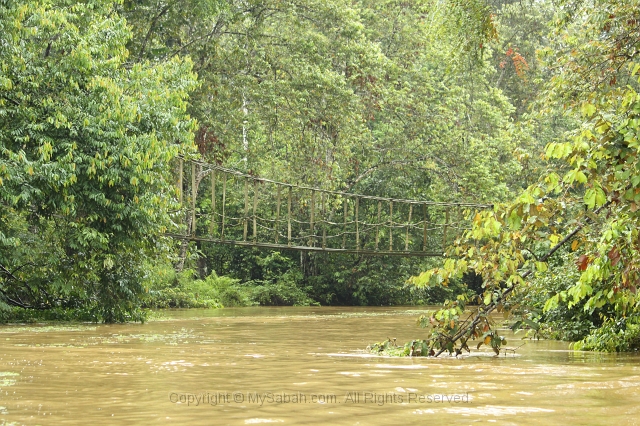 kinabatangan-img_9945.jpg