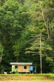 kinabatangan-img_0344