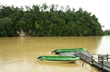 kinabatangan-img_9496