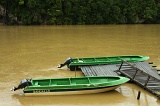 kinabatangan-img_9498