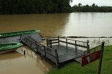 kinabatangan-img_9500