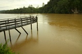 kinabatangan-img_9509