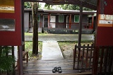 kinabatangan-img_9521