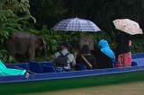 kinabatangan-img_9714