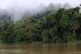 kinabatangan-img_9808