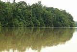 kinabatangan-img_9876