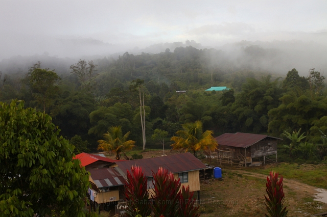 long-pasia-img_5609.jpg