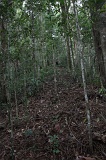 long-pasia-img_5542