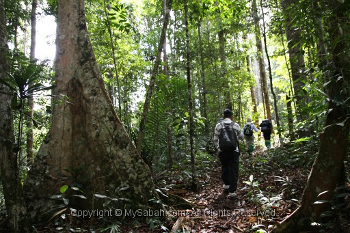 maliau-basin-gmg_7839.jpg