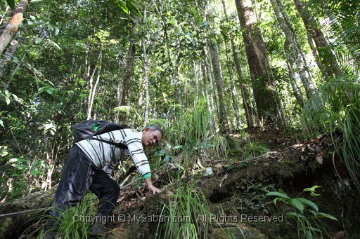 maliau-basin-img_8141.jpg