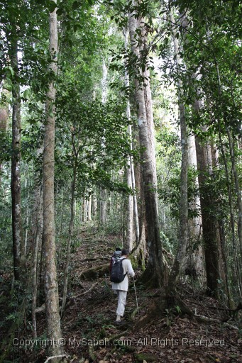 maliau-basin-img_8563.jpg