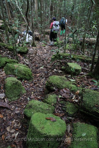 maliau-basin-img_8742.jpg