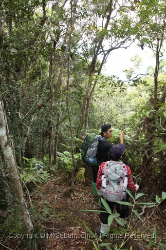 maliau-basin-img_9557.jpg