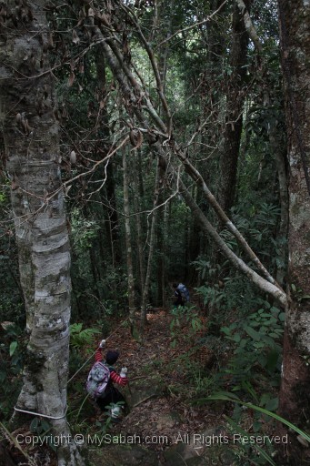 maliau-basin-img_9568.jpg