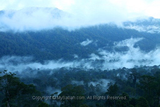 maliau-basin-img_9775.jpg